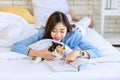 Closeup studio shot of tricolor cute little fat short hair purebred kitten pussycat companion laying down resting relaxing on bed Royalty Free Stock Photo