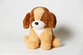 Closeup of a stuffed brown dog toy on a white background Royalty Free Stock Photo