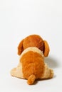 Closeup of a stuffed brown dog toy on a white background Royalty Free Stock Photo
