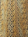 closeup of stylized leopard and snake skin pattern as a texture for background. Royalty Free Stock Photo