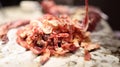 Closeup of substandard meat scraps for animal feed production Royalty Free Stock Photo