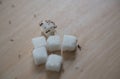 Closeup sugar and ant on wooden table Royalty Free Stock Photo