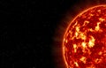 The closeup of Sun star