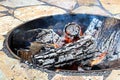 Closeup of a sunked firepit with burning logs