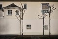 Closeup of a sunlit white building some deciduous trees near