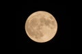 Closeup of the super fullmoon Royalty Free Stock Photo
