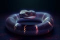 closeup of super thin coastal snake on dark background