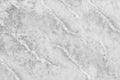 Closeup surface abstract marble pattern at the marble stone floor texture background in black and white tone Royalty Free Stock Photo