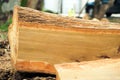 Closeup surface of the log while being saw in the factory with sawdust