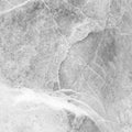 Closeup surface marble pattern at marble stone wall texture background in black and white tone Royalty Free Stock Photo