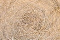 Closeup surface roll of dry straw for feeding textured background Royalty Free Stock Photo