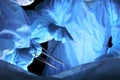 Closeup of surgeons performing operation. Focus on human hands using professional tools. Medicine, surgery and emergency