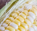 Closeup of sweet corn which have two tone Royalty Free Stock Photo
