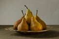 Closeup of sweet yellow pears on the vintage plate