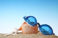 Closeup of Swim goggles with Seashell. Royalty Free Stock Photo