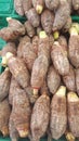 Closeup of Taro root on sale Royalty Free Stock Photo