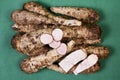 closeup of taro root vegetable, eddo malanga, green background Royalty Free Stock Photo