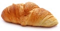 Closeup of tasty croissant