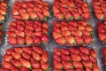 Closeup of tasty malaysian strawberries freshly collected on a box