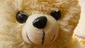 Closeup teddy bear