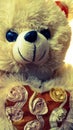 Closeup teddy bear