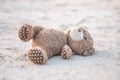 Closeup teddy Bear toy laying alone in the ground