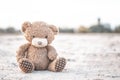 Closeup teddy Bear toy laying alone in the ground