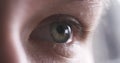 Closeup of teenage girl eye without makeup looking straight Royalty Free Stock Photo