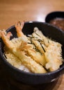 Closeup tempura don Royalty Free Stock Photo