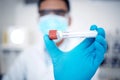 Closeup, test tube and lab for dna results, experiment and in laboratory with gloves for protection. Male scientist, man Royalty Free Stock Photo