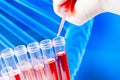 Closeup of test tubes with pipette on red liquid on abstract dna background Royalty Free Stock Photo