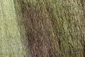 Closeup of textile in earth colors