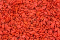 Dried red Goji berry, Wolfberry fruit Lycium barbarum used in Royalty Free Stock Photo