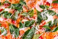Closeup texture of Neapolitan Pizza made with tomatoes, basil and mozzarella cheese Royalty Free Stock Photo