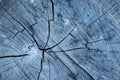 Closeup texture of old wood with cracks pattern, abstract background Royalty Free Stock Photo