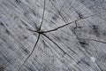 Closeup texture of old wood with cracks pattern, abstract background Royalty Free Stock Photo