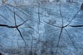 Closeup texture of old wood with cracks pattern, abstract background Royalty Free Stock Photo