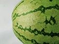 Closeup of Texture and Pattern of Water Melon Fruit Outer Skin