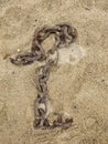 Closeup of the texture of a thick metallic chain in the sand of the beach Royalty Free Stock Photo