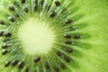 Closeup the Texture of Vibrant Green Fresh and Juicy of Cut Ripe Kiwi Fruit Royalty Free Stock Photo