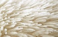 Closeup the Texture of White Soft Faux Fur of an Animal Stuffed Doll