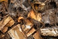 Textured abstract close-up of a soil mass