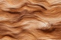 Closeup textured background of dry brown wood with wavy lines and cracks. Wood grain seamless pattern