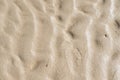 Closeup of textured brown surface with copyspace. Details and patterns of sand or ground with copyspace. Zoom in on Royalty Free Stock Photo
