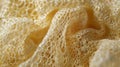 In this closeup the textured surface of a loofah resembles a network of tiny beige bubbles Royalty Free Stock Photo