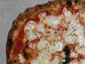 Closeup of thin crust New York style margarita pizza