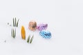 Beautiful chocolate easter eggs with yellow crocus buds on fresh Royalty Free Stock Photo