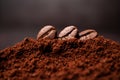 Closeup of three coffee beans at the mixed heap of roasted coffee with copy space for text. Concept of Coffee freshness Royalty Free Stock Photo