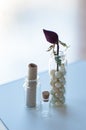 Closeup of three small glass jars with vintage pearls, old parchment and dry rose bud on bright window background