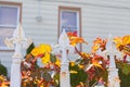 Closeup of Three White Fleur De Lis Points with Plants on a Home Fence